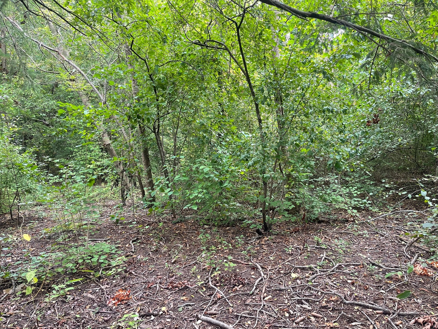 1351 N Sheridan Road