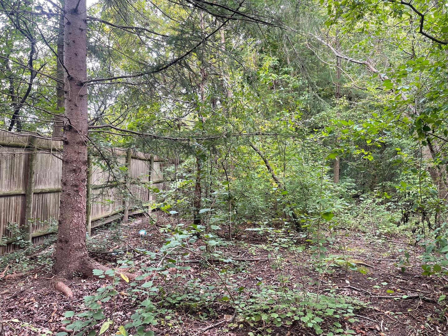 1351 N Sheridan Road