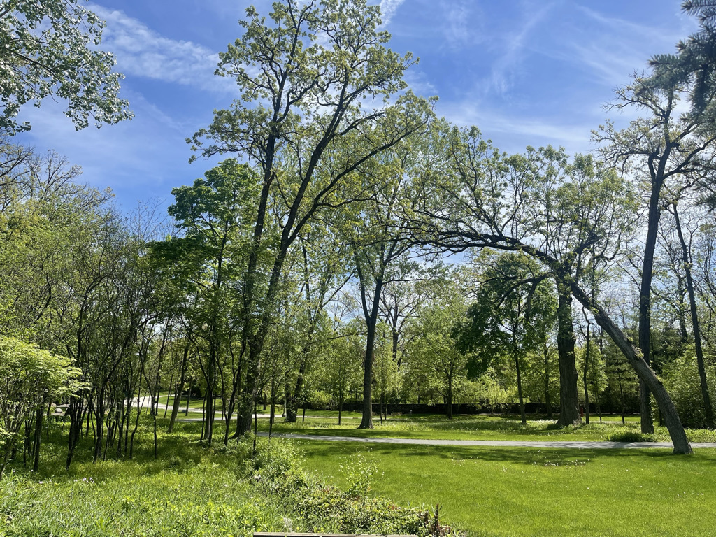 600 Broadsmoore Drive