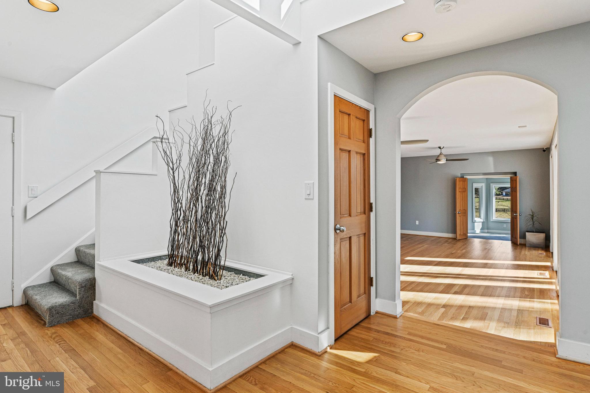 321 Springvale Rd