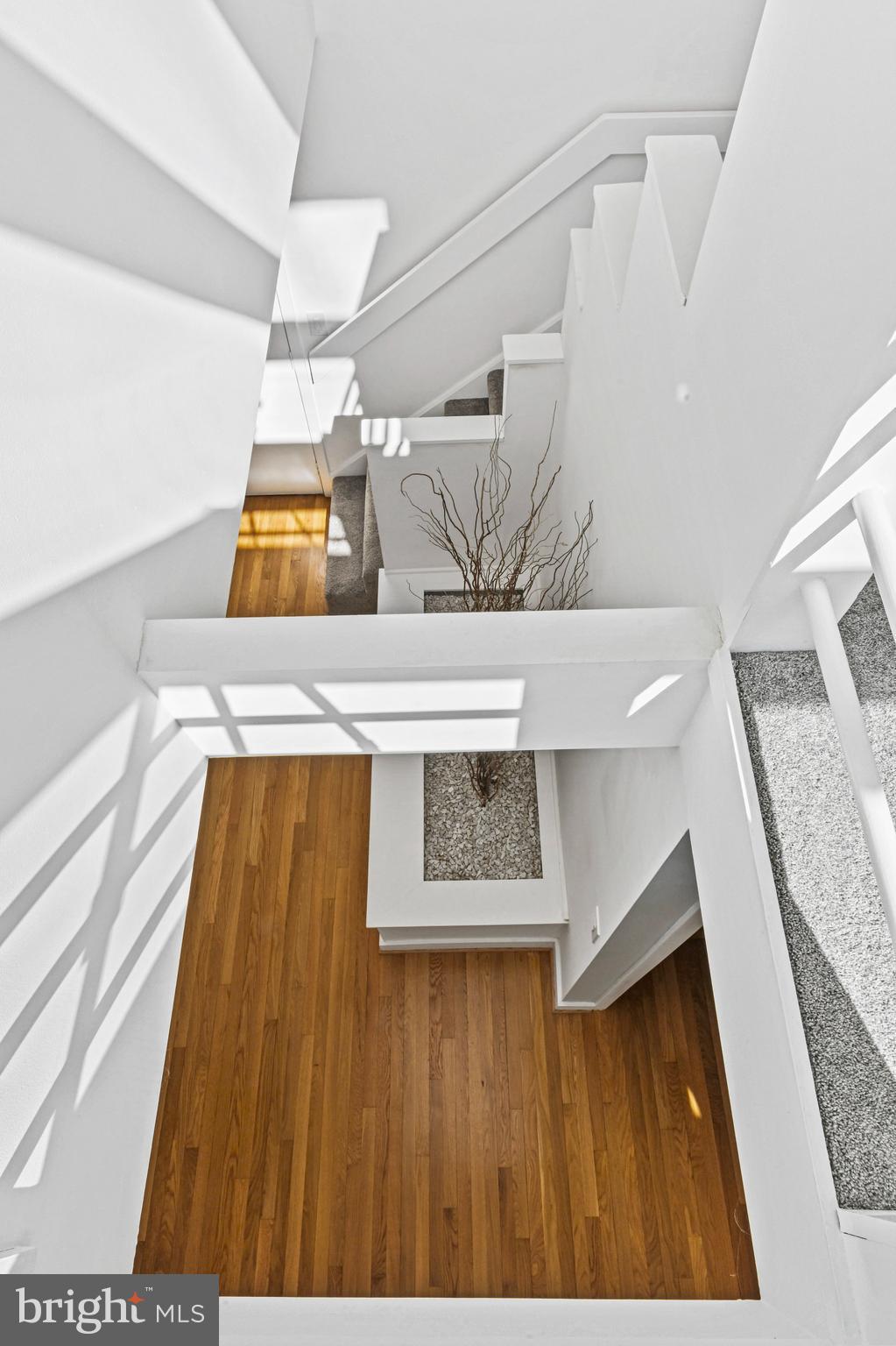 321 Springvale Rd
