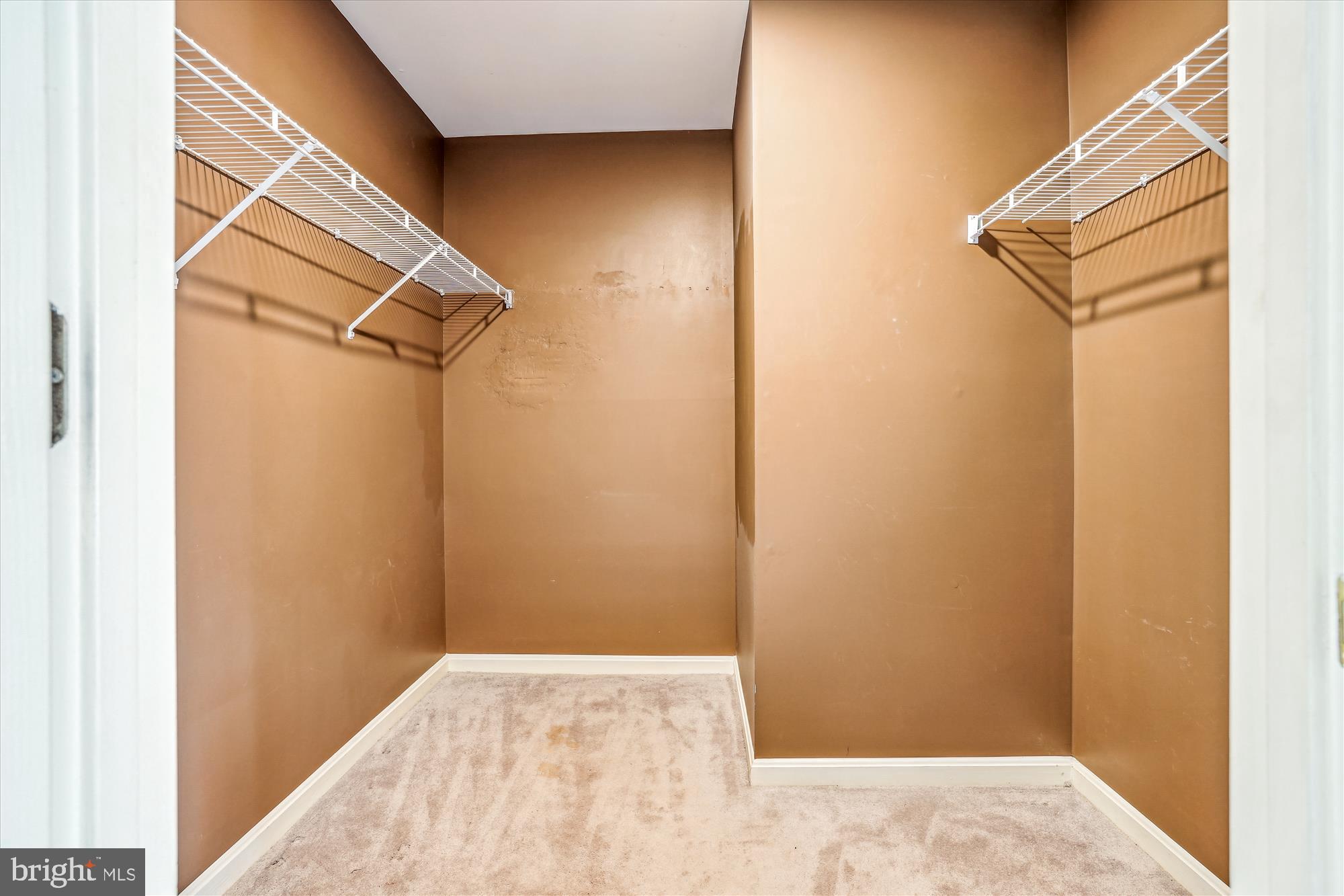 13101 SUMMER RAIN TER