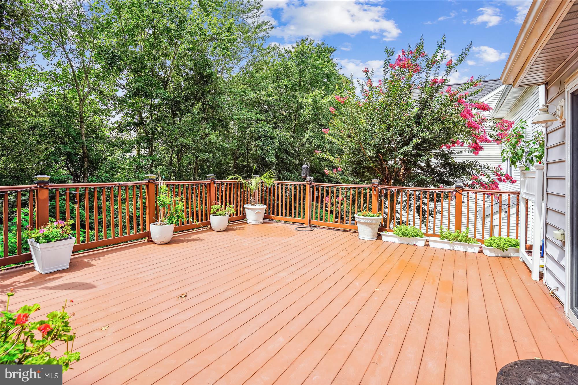 13101 SUMMER RAIN TER