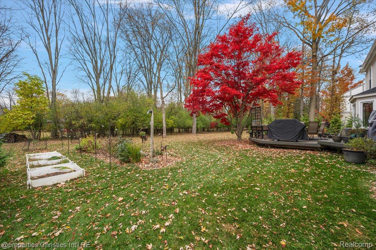 31301 Coachlight Lane