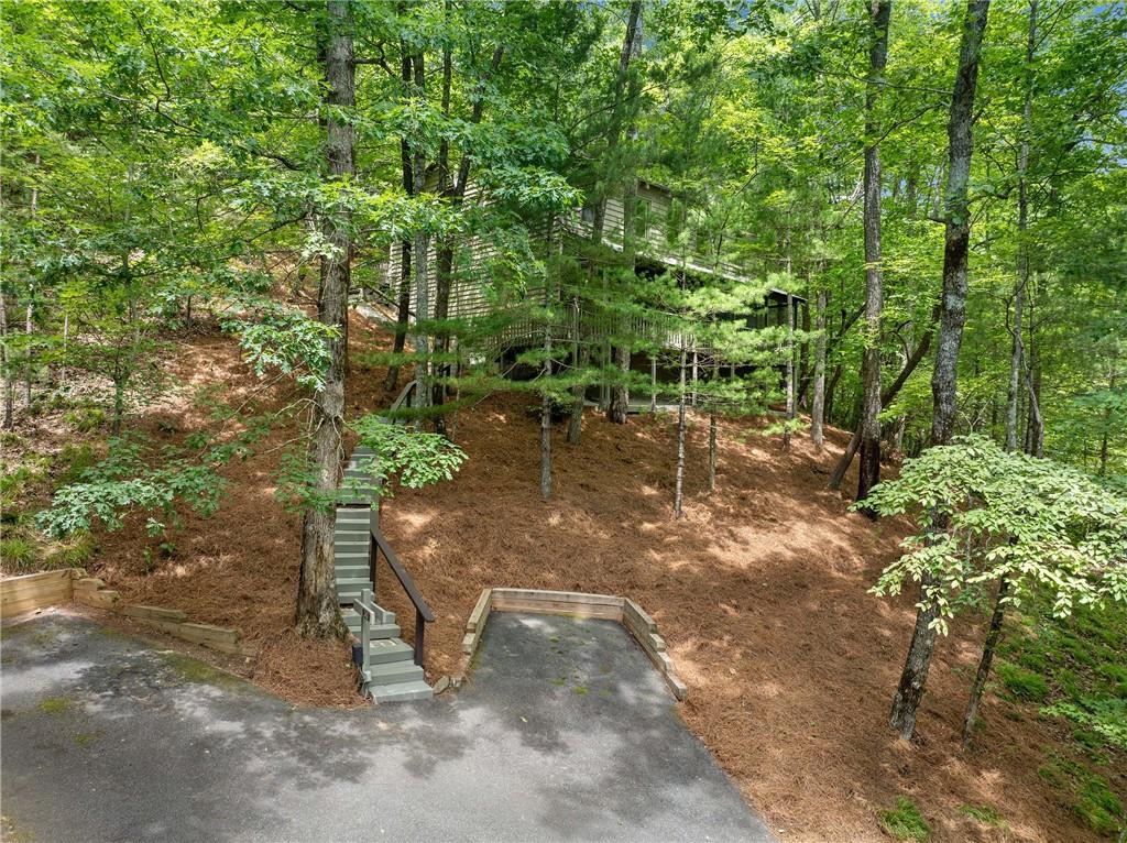242 Buckskull Hollow Drive