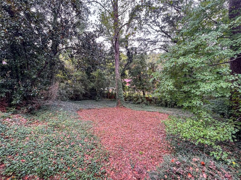 3191 Lemons Ridge SE