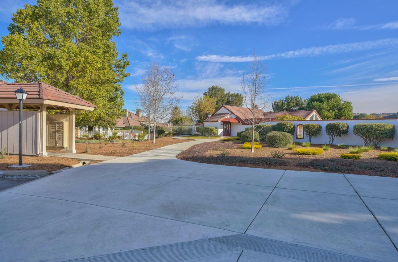 24325 Barn Owl CT