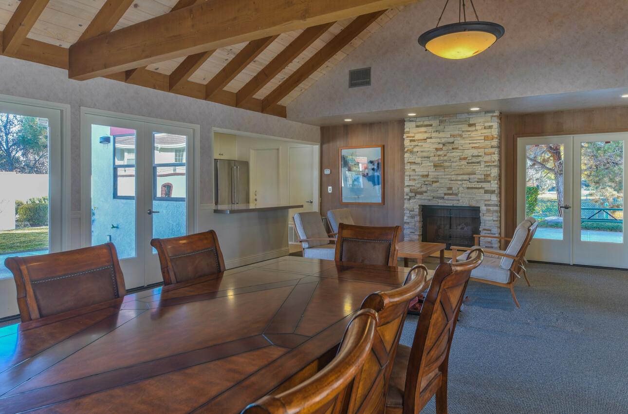 24325 Barn Owl CT