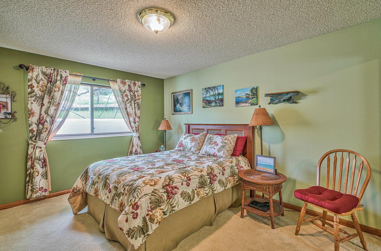 24325 Barn Owl CT