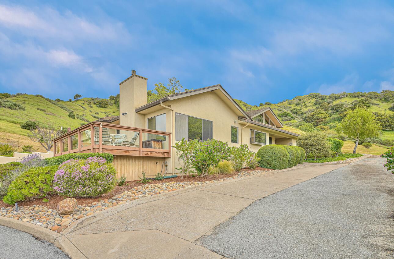 24325 Barn Owl CT