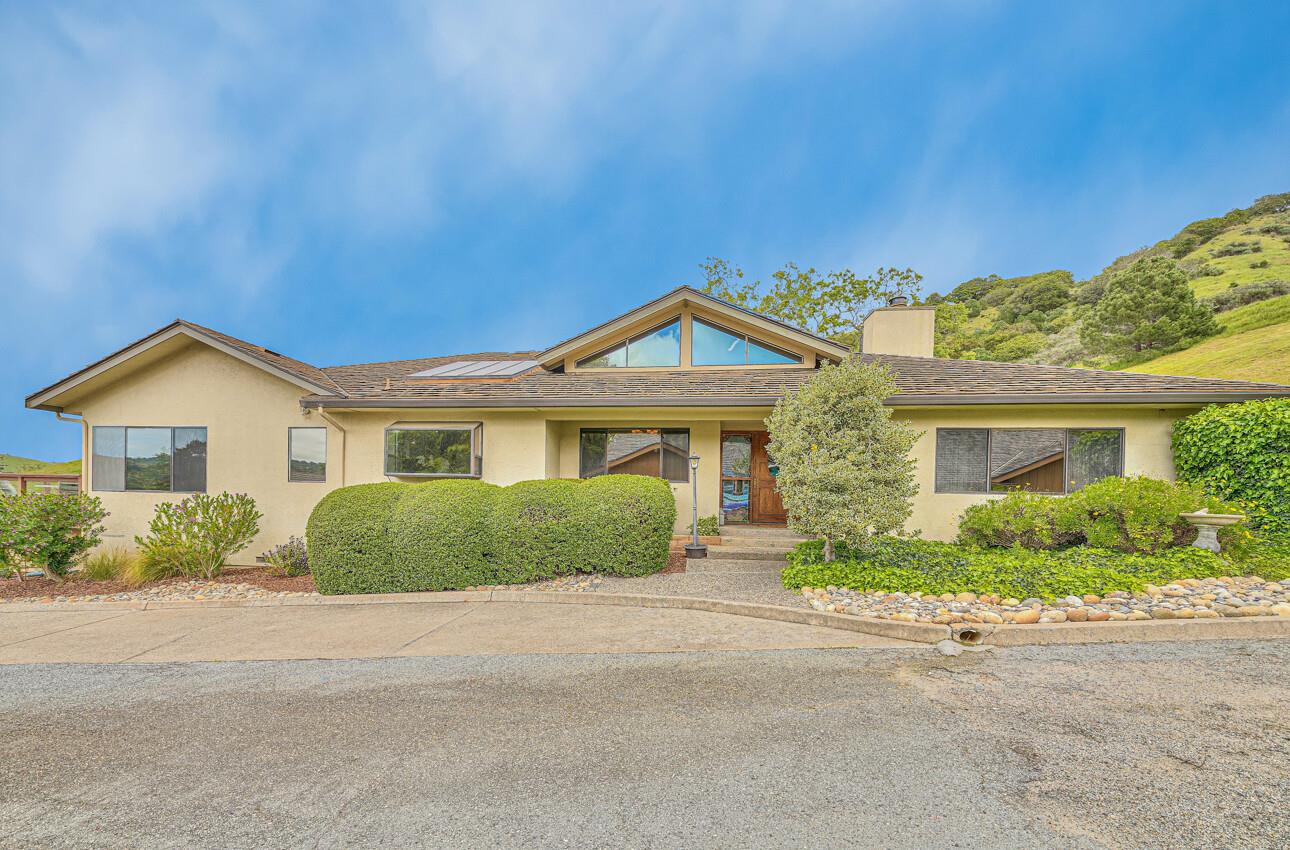 24325 Barn Owl CT