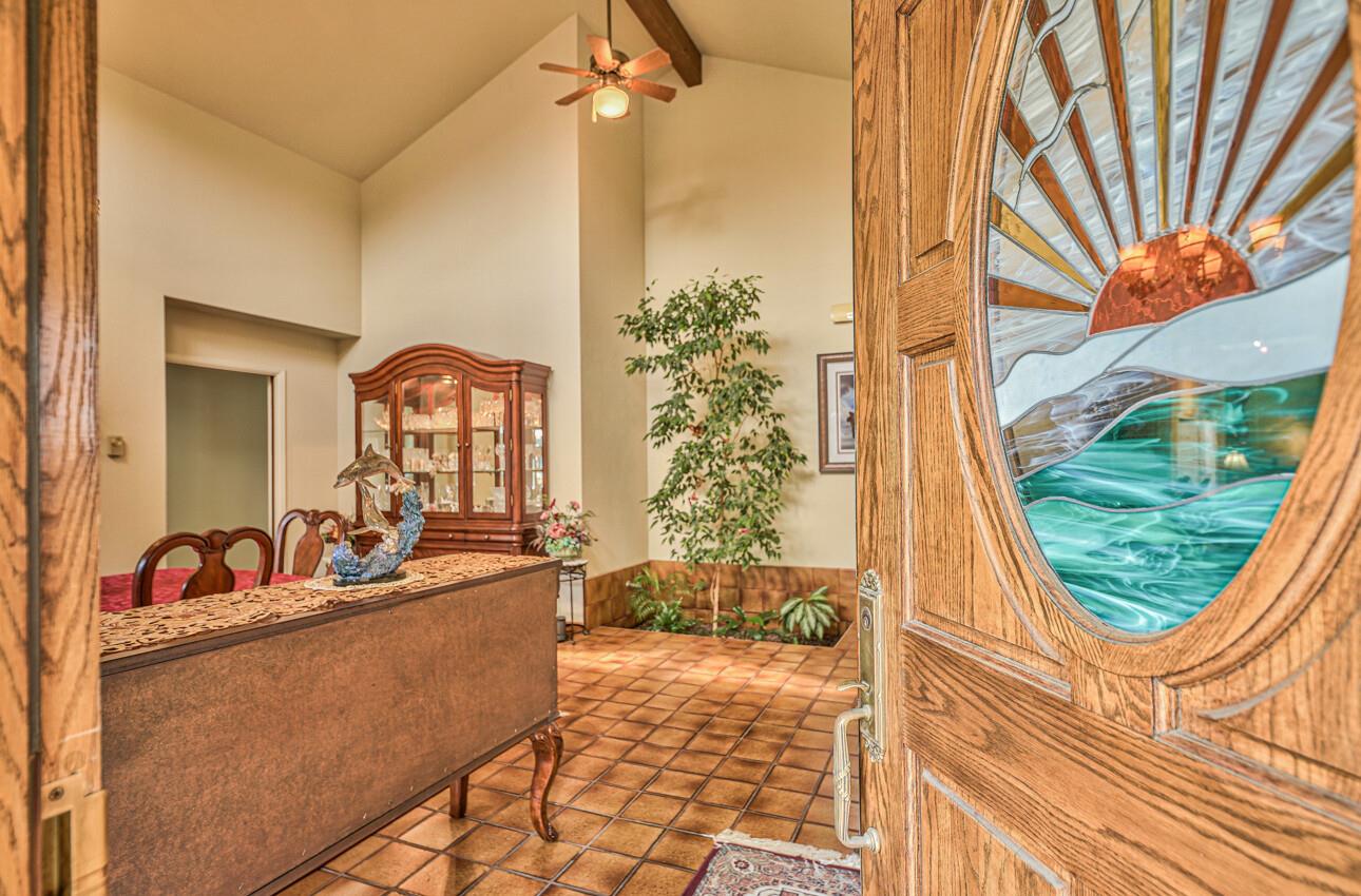 24325 Barn Owl CT