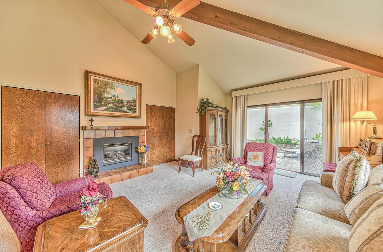 24325 Barn Owl CT