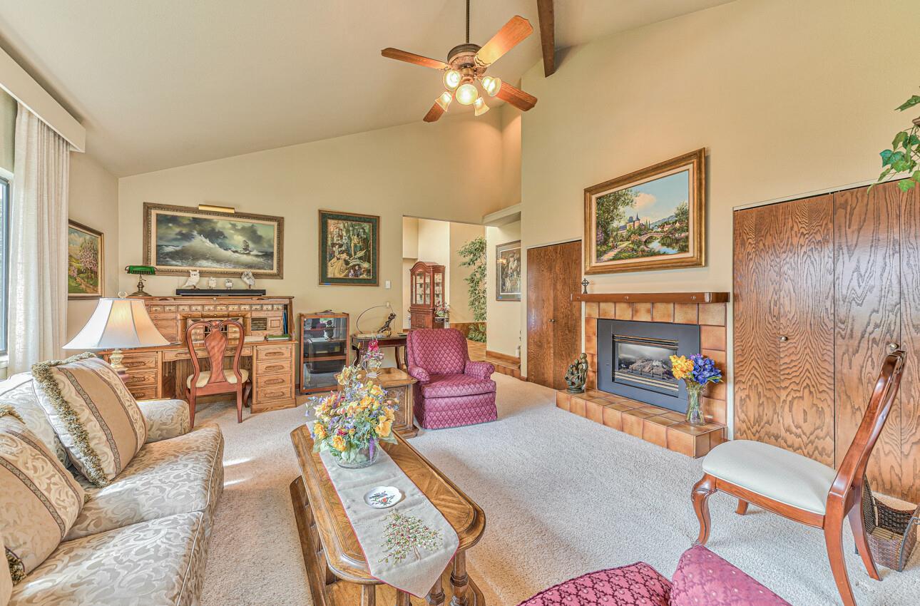 24325 Barn Owl CT