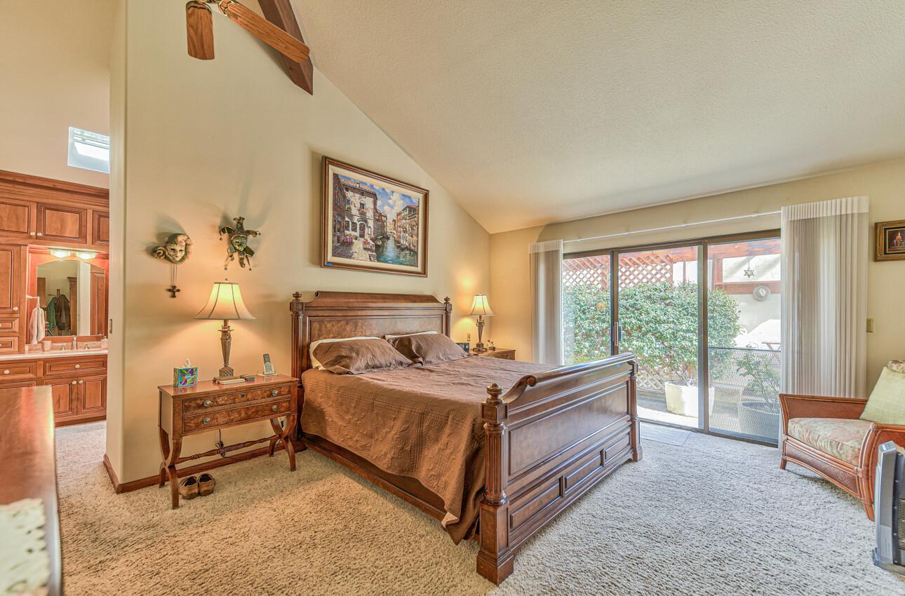 24325 Barn Owl CT
