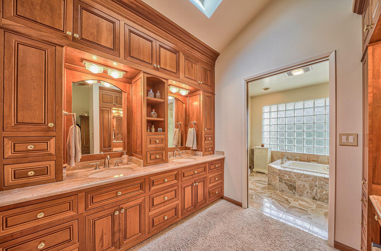 24325 Barn Owl CT