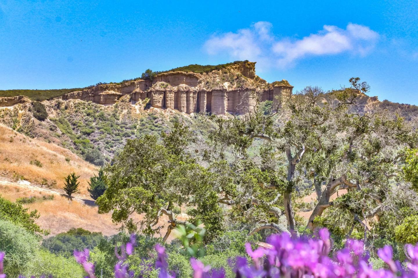 25552 Meadowview Circle