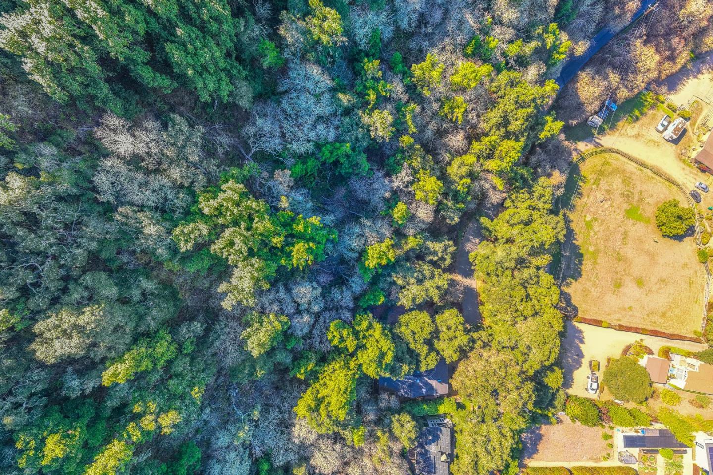 27631 Schulte Road