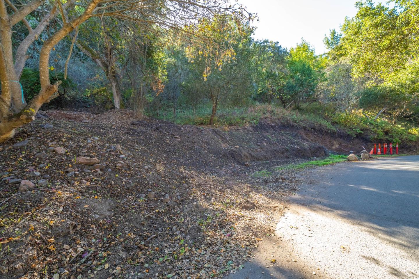 27631 Schulte Road