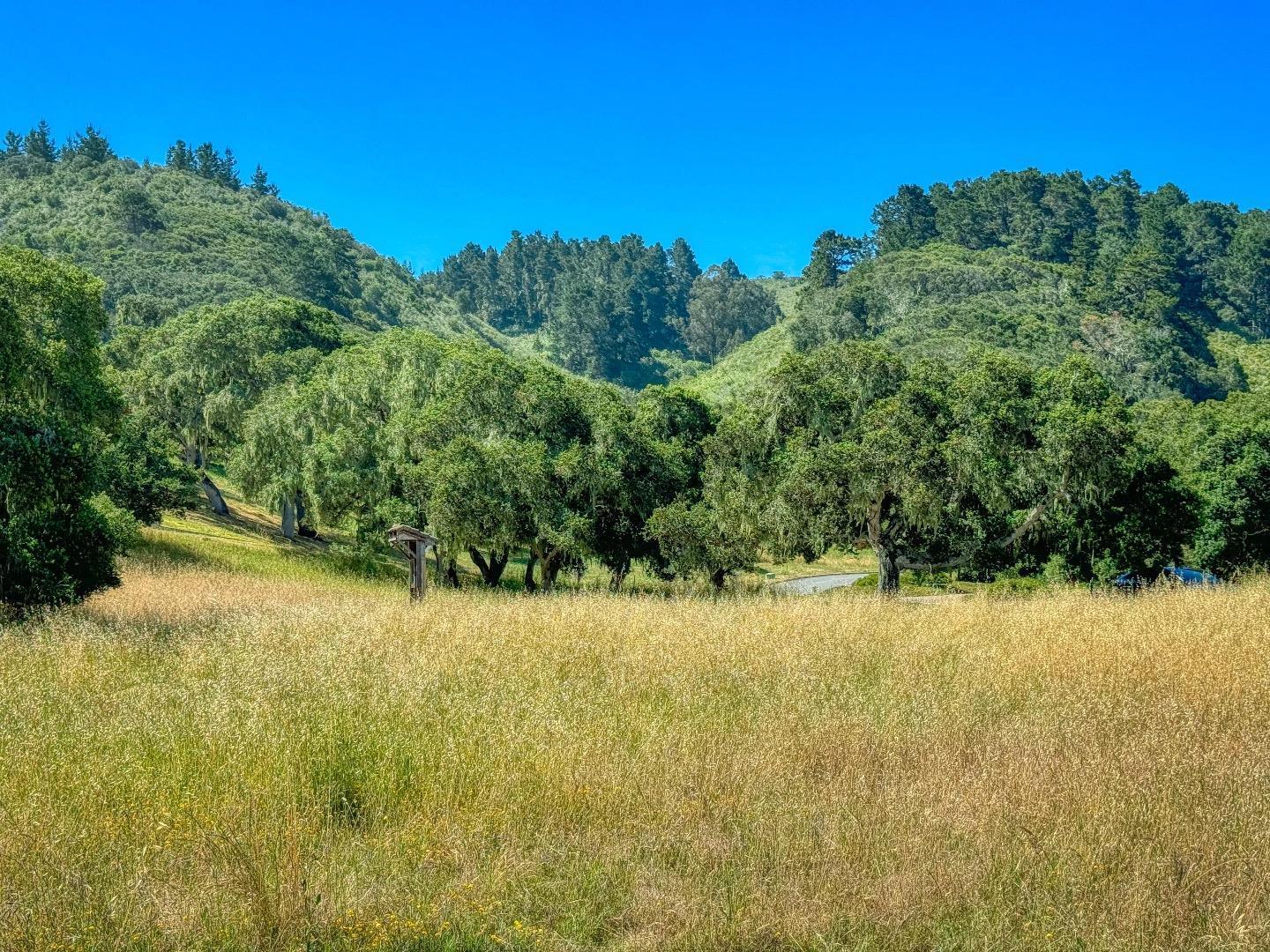8340 Vista Monterra