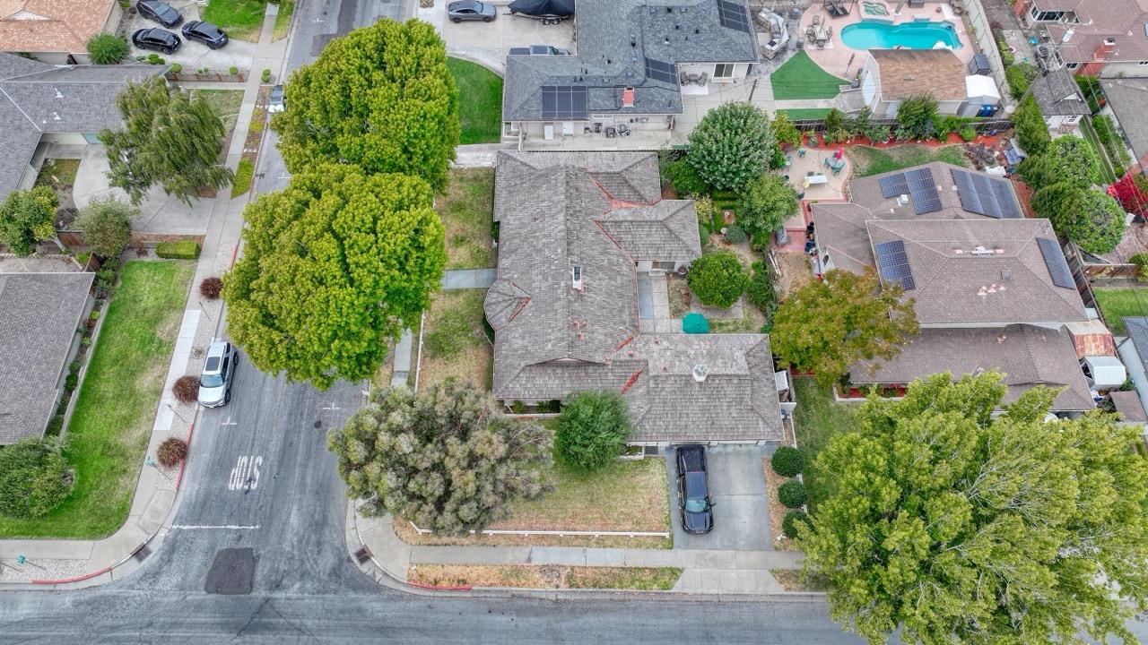 1167 Los Palos DR