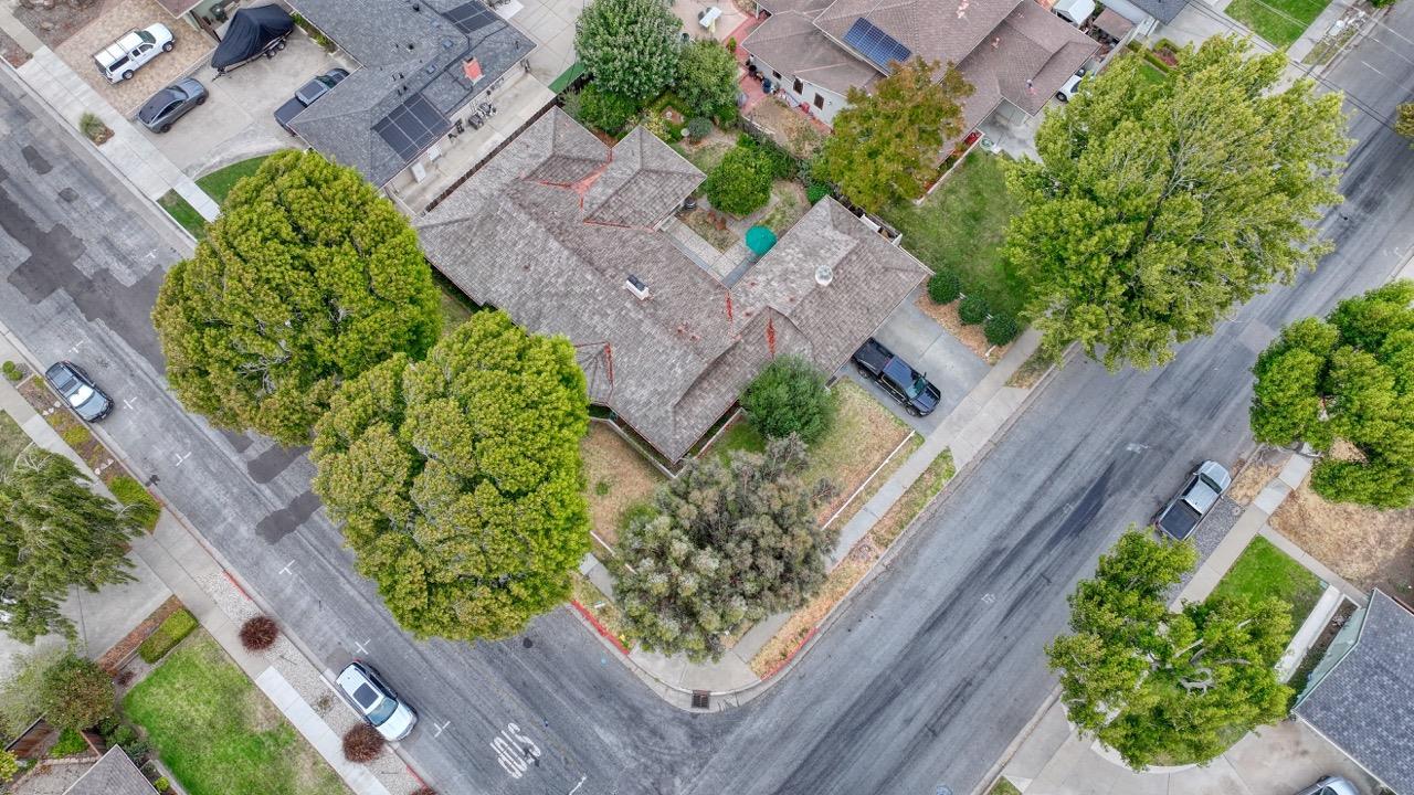 1167 Los Palos DR
