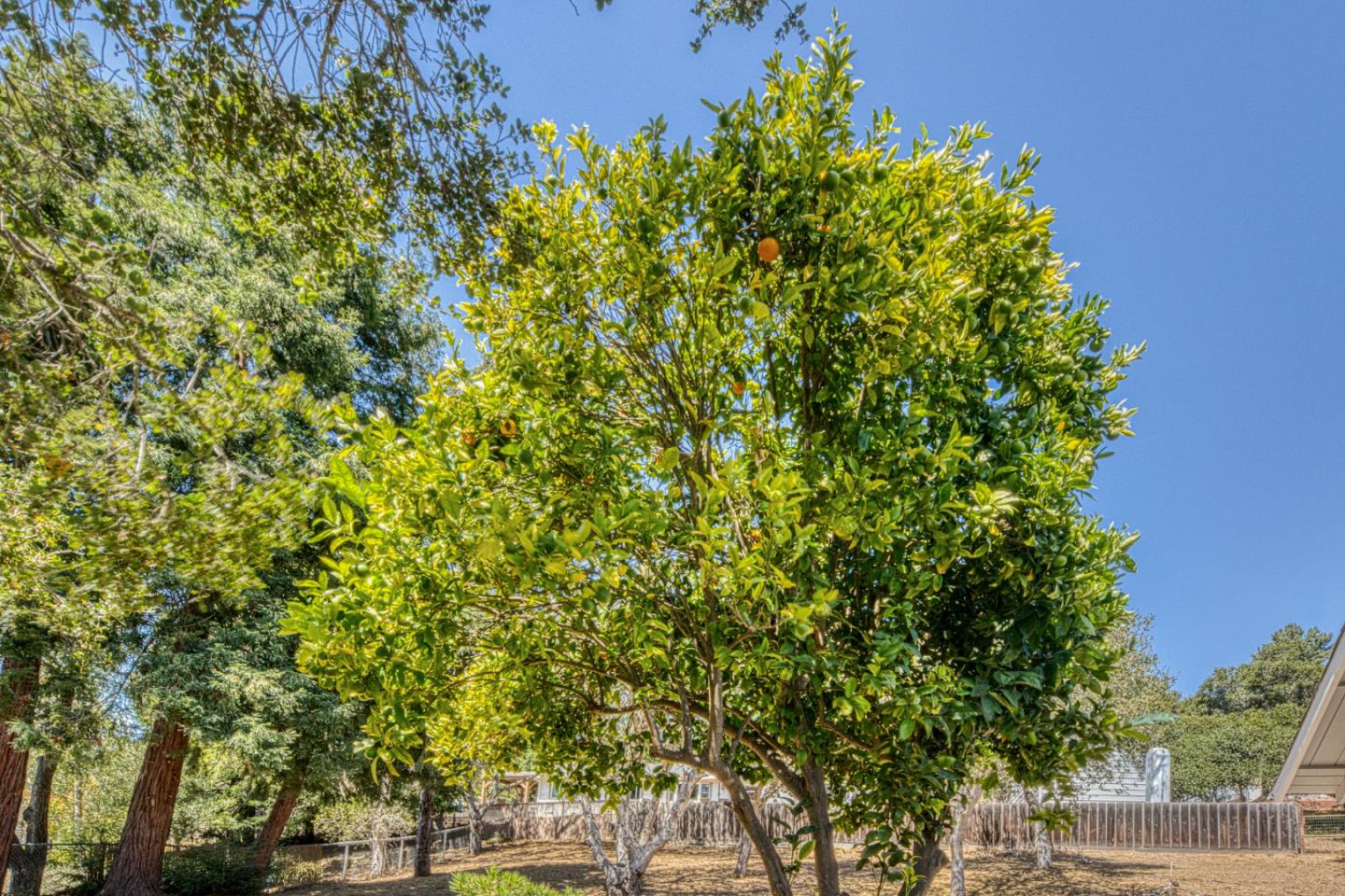 17963 Berta Canyon RD