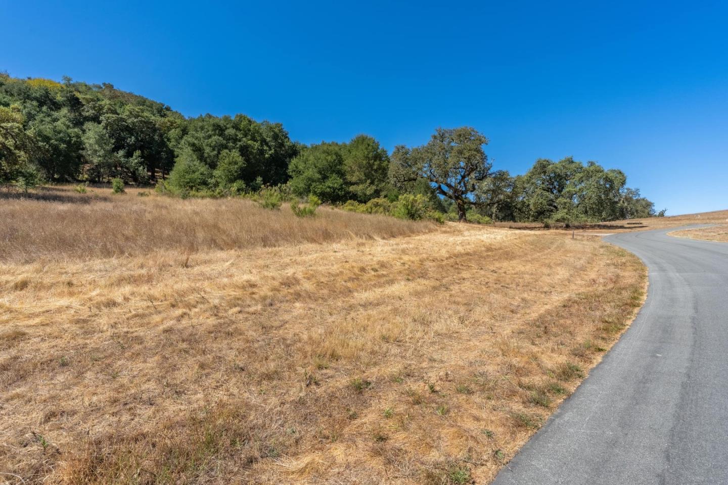 2 Arroyo Sequoia