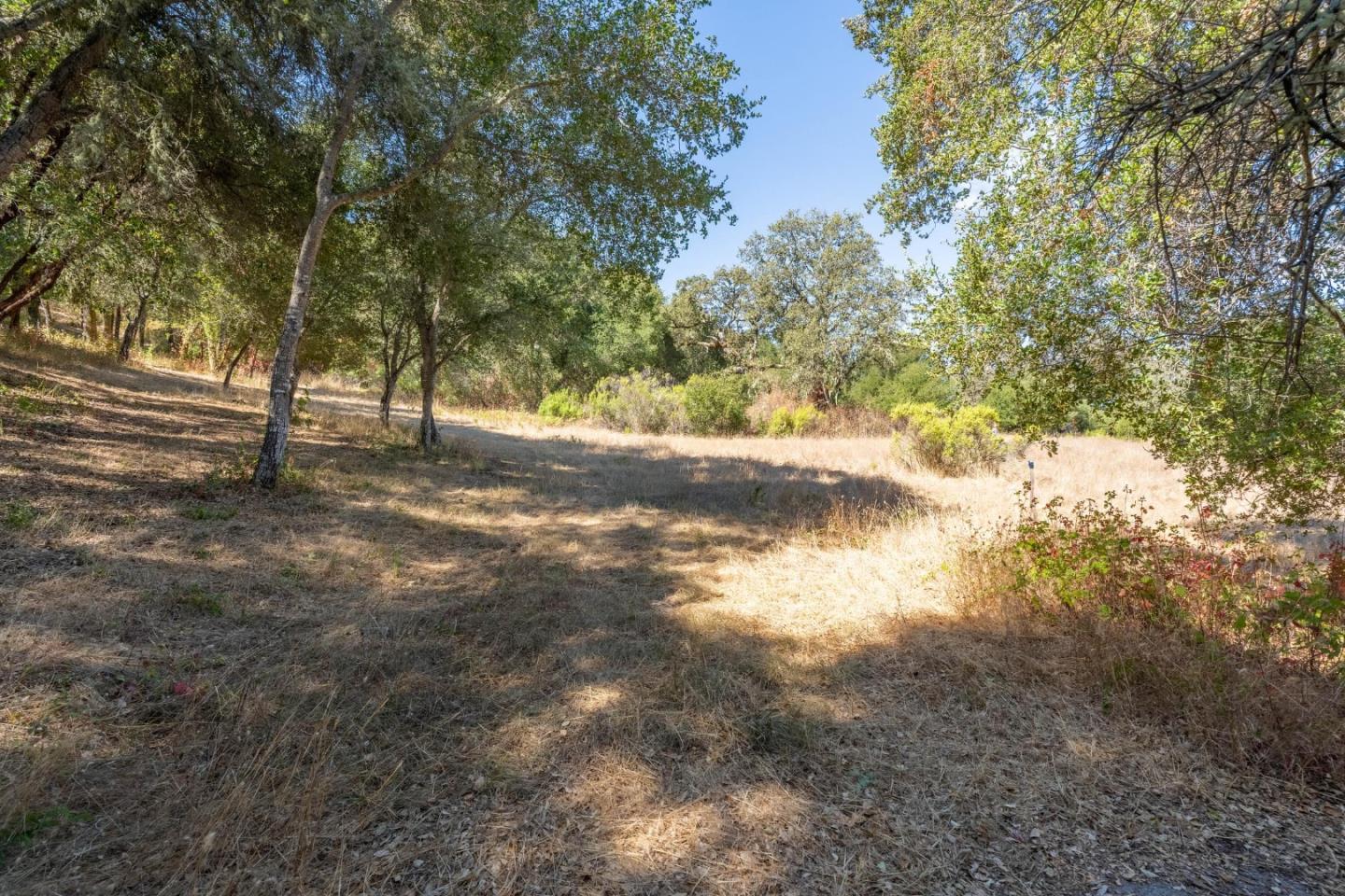 2 Arroyo Sequoia