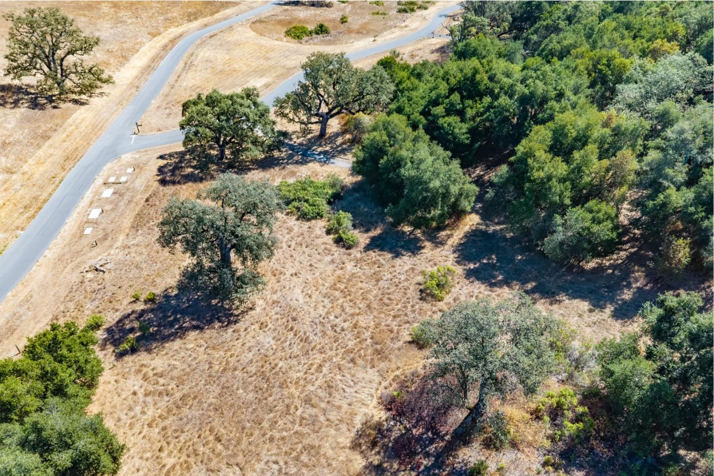 2 Arroyo Sequoia