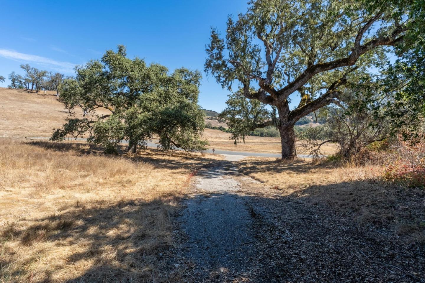 2 Arroyo Sequoia