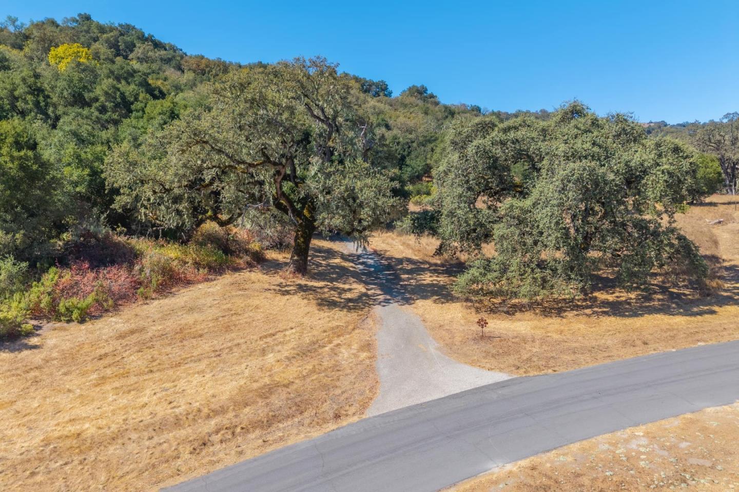 2 Arroyo Sequoia