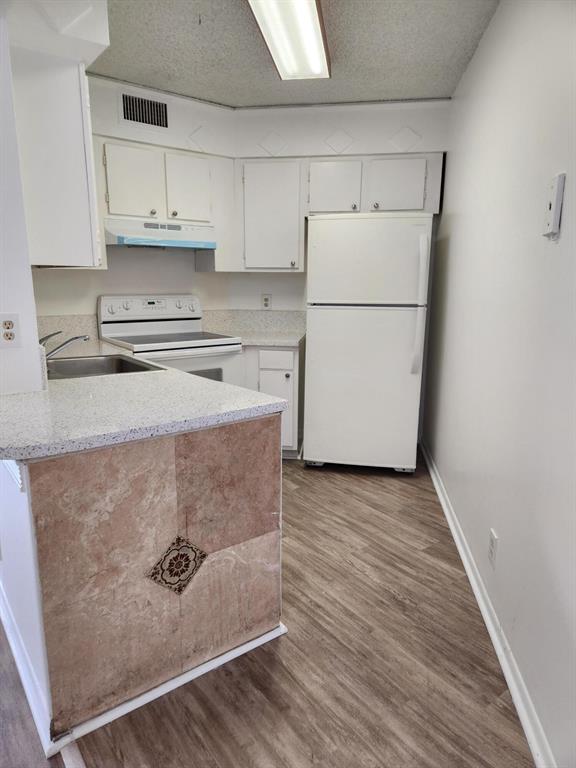 210 Lake Pointe Drive 309