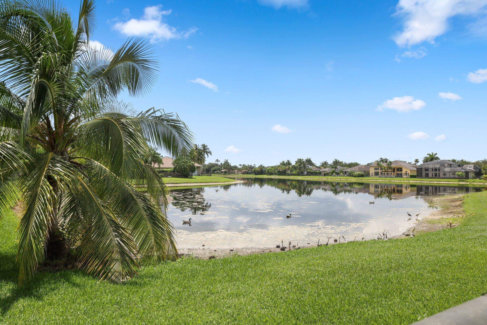 19244 Natures View Court