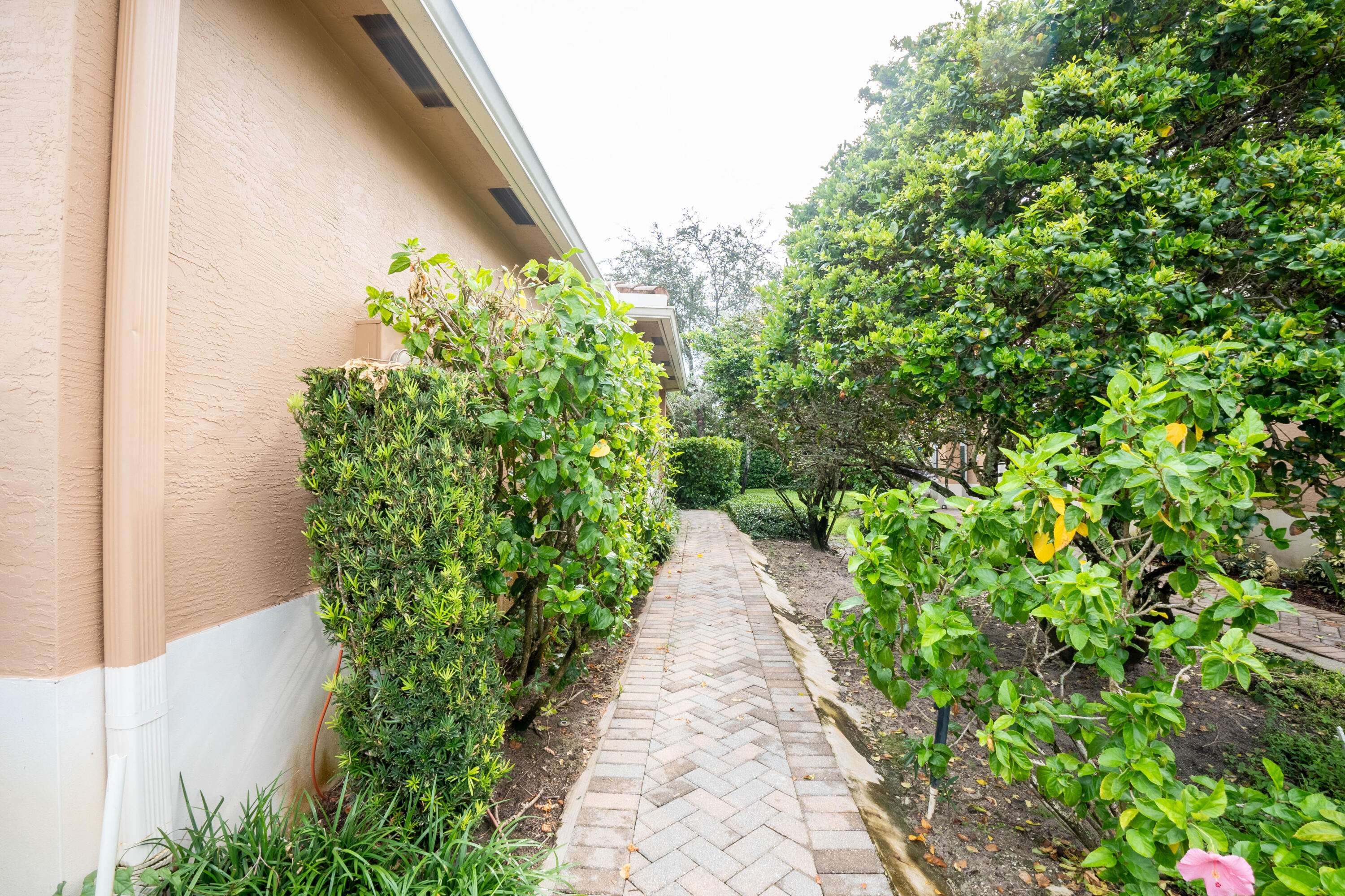 4365 Colony View Drive