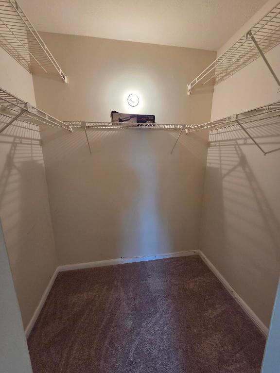 14790 Bonaire Boulevard 104