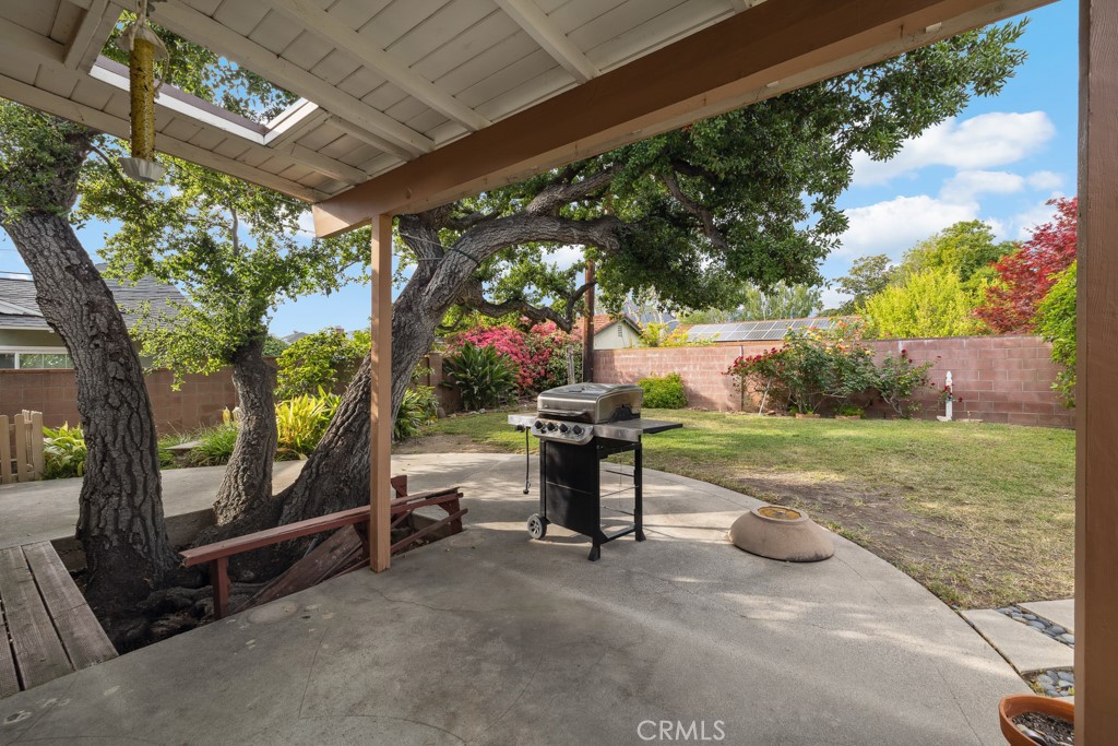 7861 Cora Street