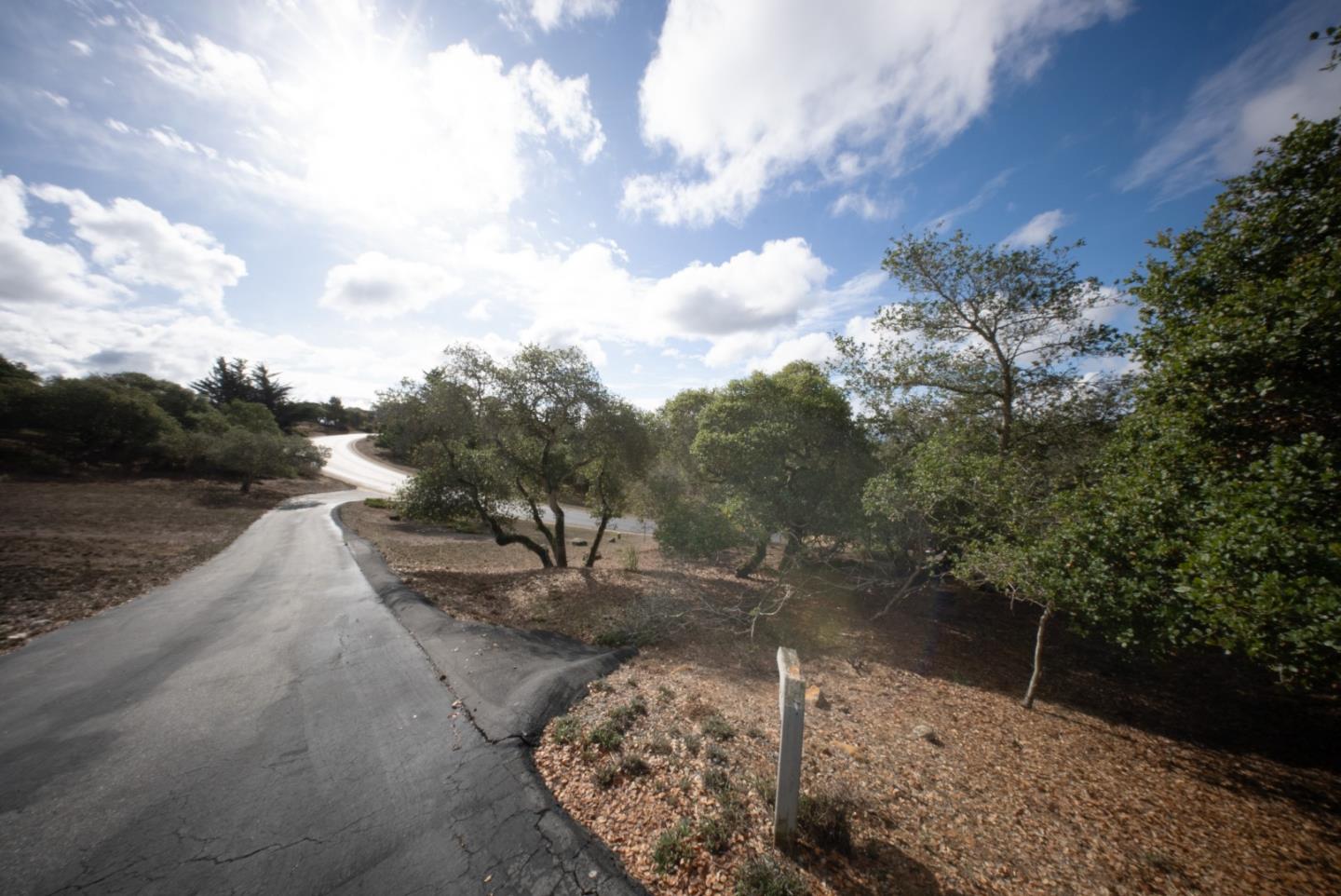 Curving paved driveway through a wooded property, with mature trees and a winding road.