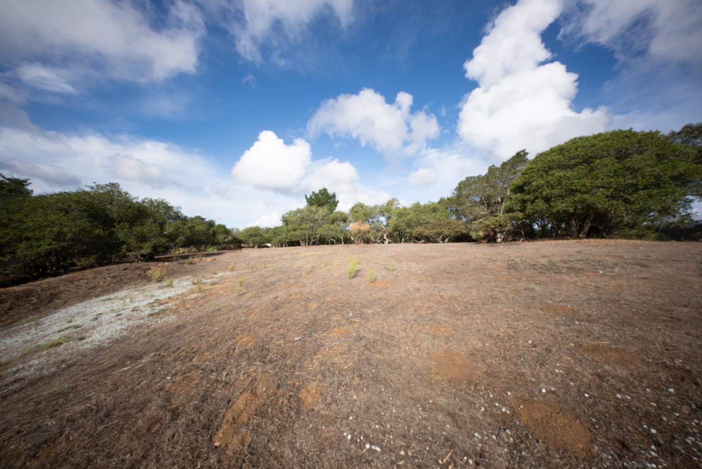 Open dry parcel bordered by trees beneath a blue, cloud-filled sky.
