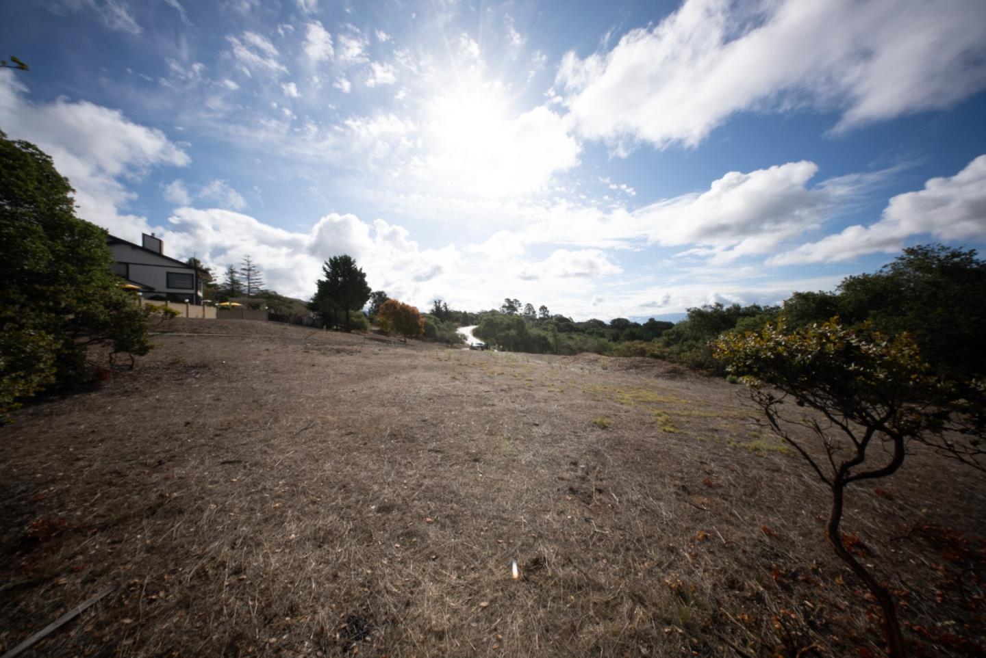 Open, dry residential lot with sparse trees, a house at left, and a road curving in the distance.