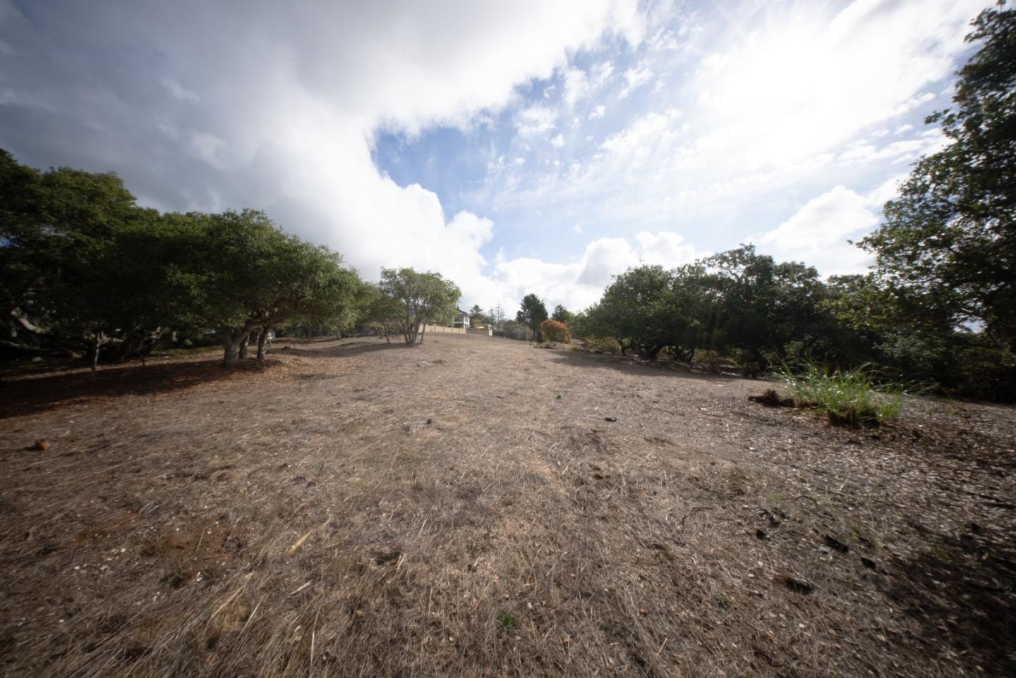 Dry cleared lot bordered by mature trees beneath a partly cloudy sky.