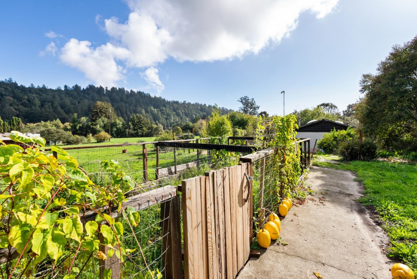 2301 Soquel San Jose Road