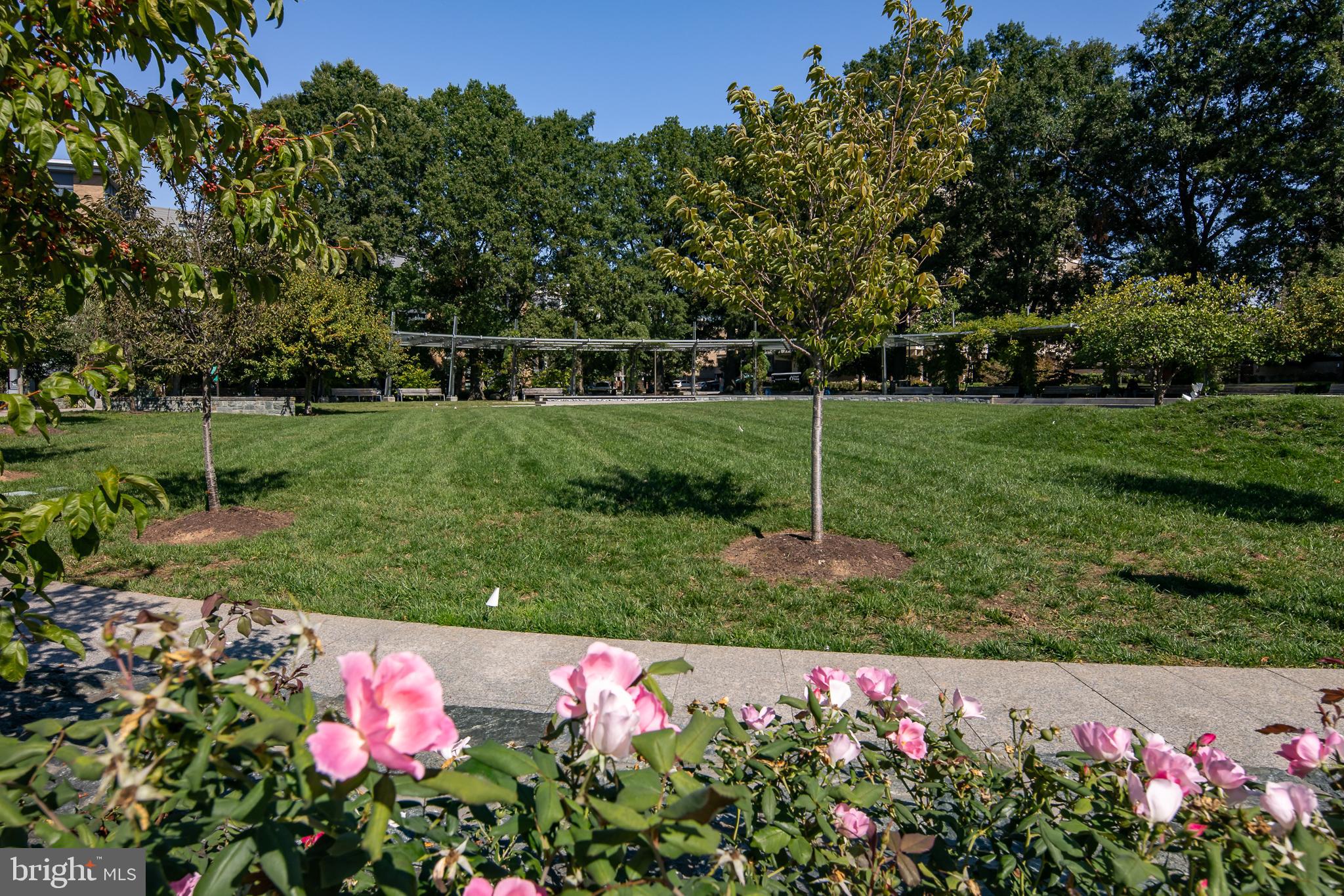 525 WATER STREET SW 404