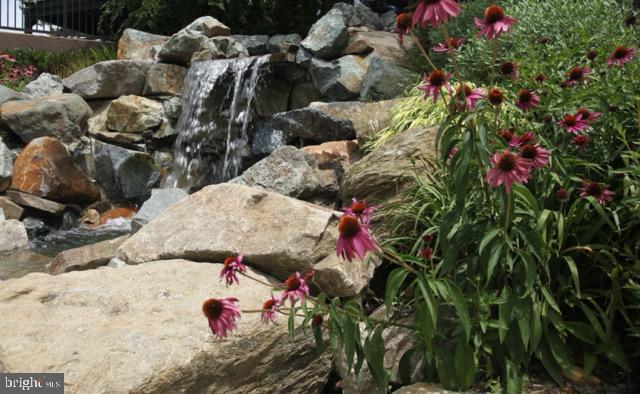 203 YOAKUM PARKWAY 502