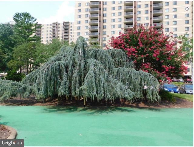 203 YOAKUM PARKWAY 502