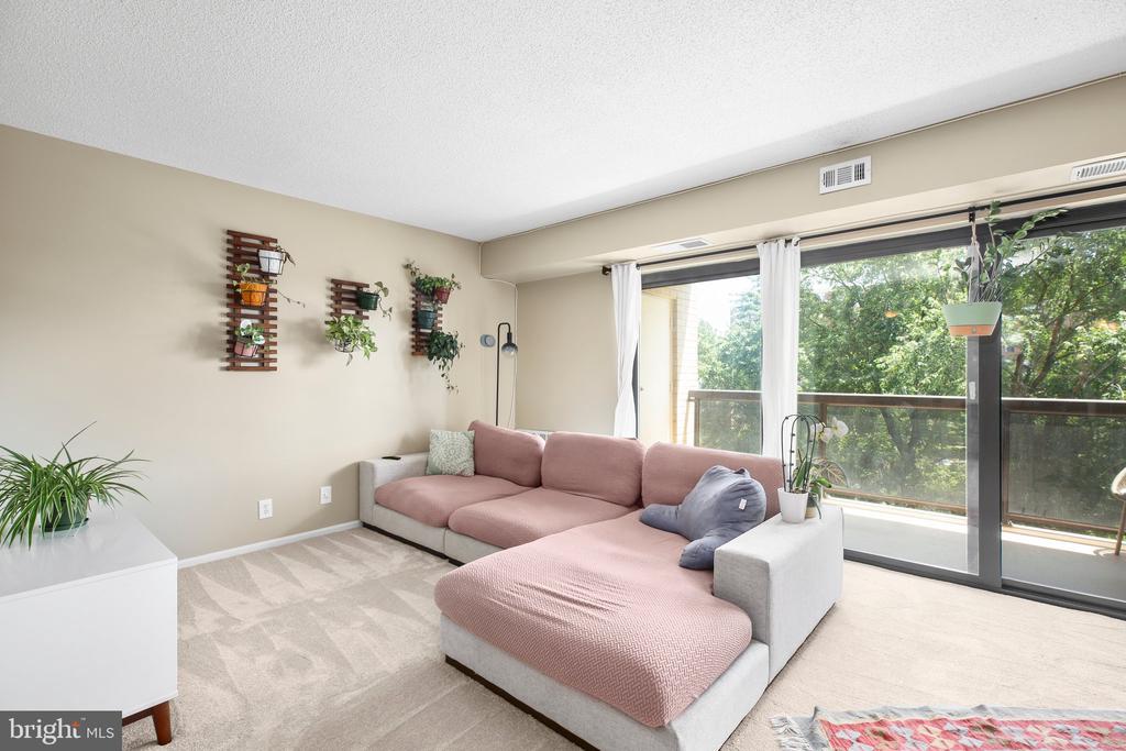 203 YOAKUM PARKWAY 502