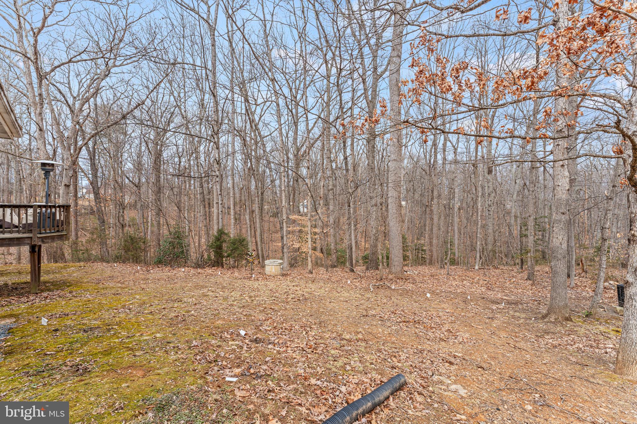 16373 ADRIENNE PLACE