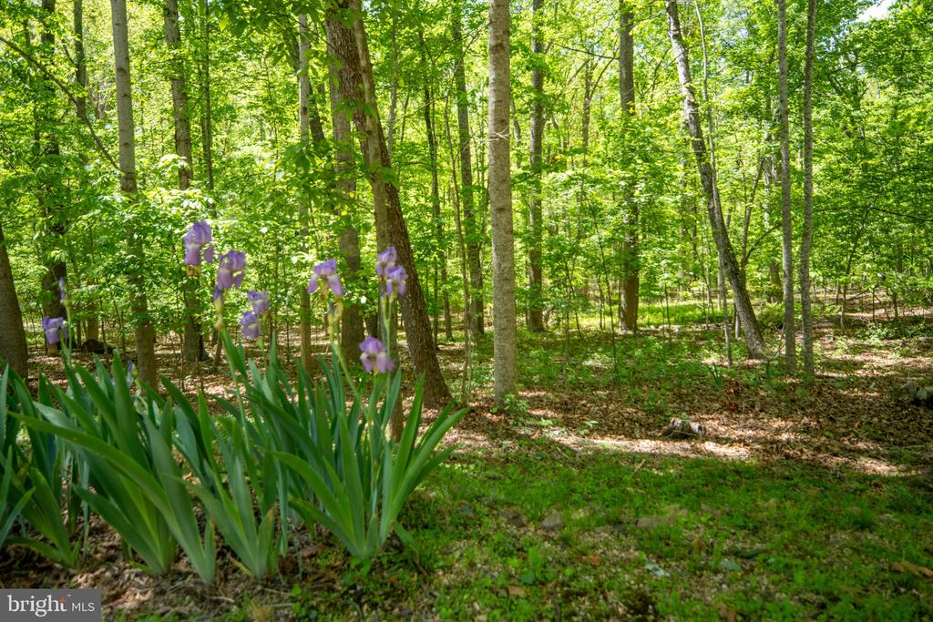 11154 ALUM SPRINGS ROAD