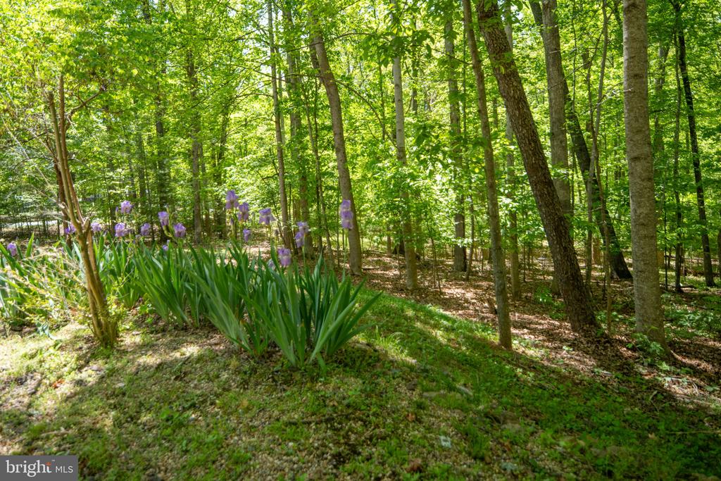 11154 ALUM SPRINGS ROAD