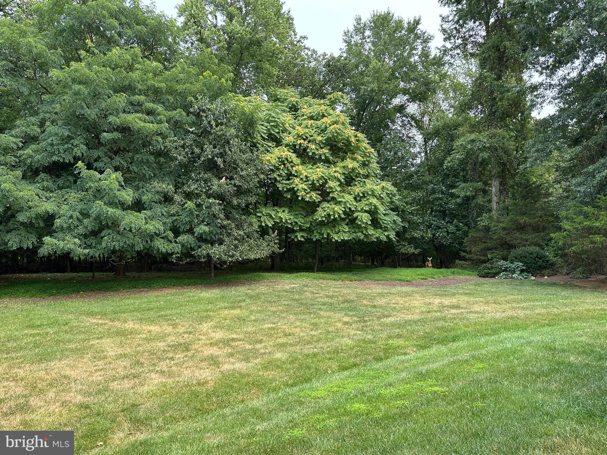 6891 TULIP HILL DRIVE